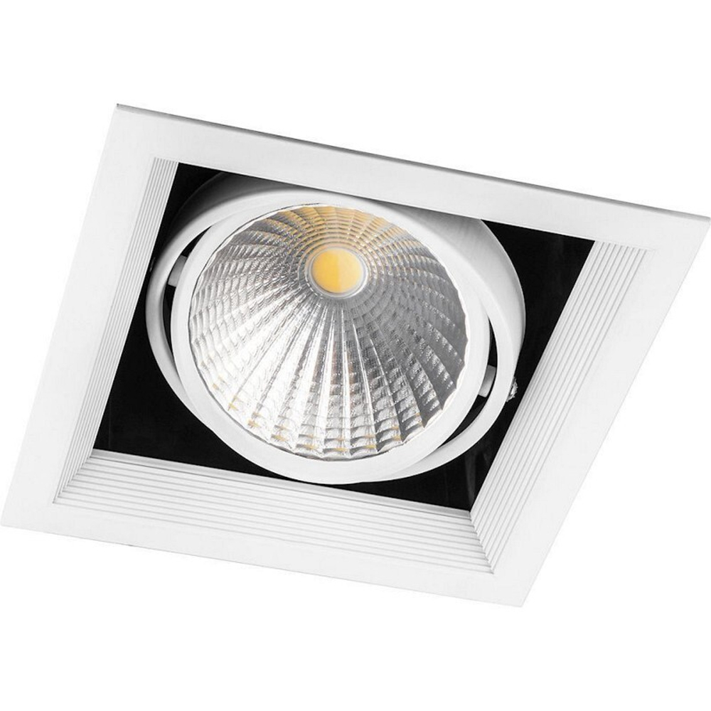Светильник карданный светодиодный 1x30W 2700 Lm. 4000К. 35 градусов. белый. AL211 с драйвером и клеммой в комплекте