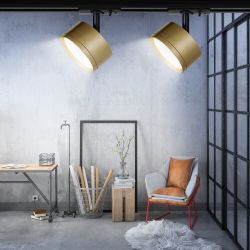 Трековый светильник однофазный ЭРА TR48 - GX53 MG под лампу GX53 матовое золото