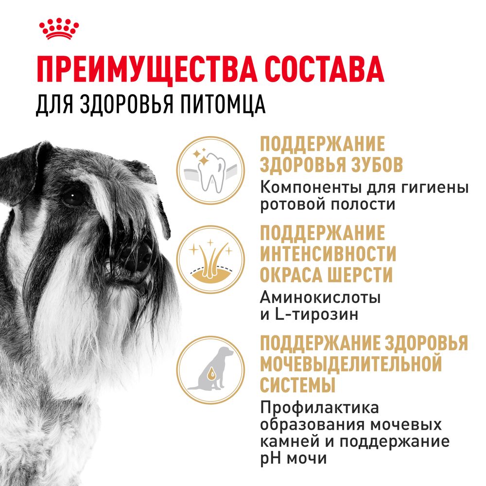 Сухой корм Royal Canin Miniature Schnauzer Adult для взрослых собак породы Миниатюрный Шнауцер от 10 месяцев