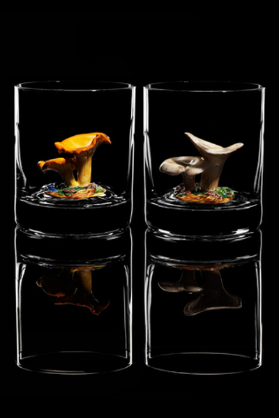 Подарочный набор из двух бокалов для виски "Лесные грибы - Лисички и Грузди".