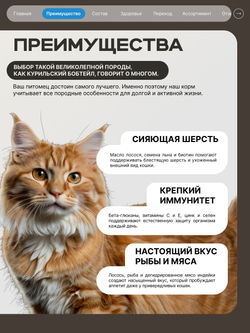 Корм сухой для взрослых кошек породы Курильский бобтейл, с лососем, 400 гр, QUATTRO