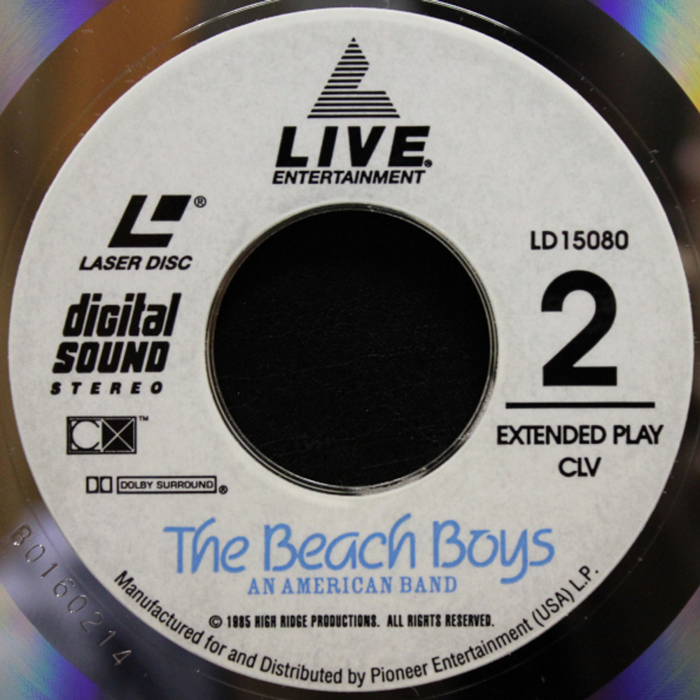 The Beach Boys / An American Band (LD)