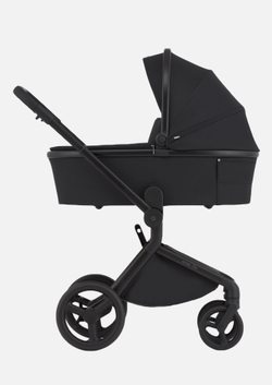 Anex Детская коляска Flo 2 в 1 Lungo