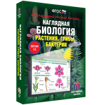 Наглядная биология. 6 класс. Растения. Грибы. Бактерии
