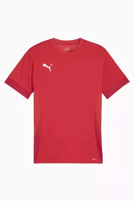 Футболка Puma teamGOAL Matchday