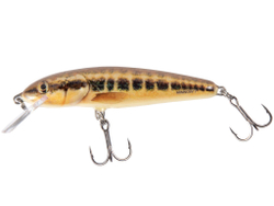 Воблер плавающий Salmo MINNOW F 07.0/M
