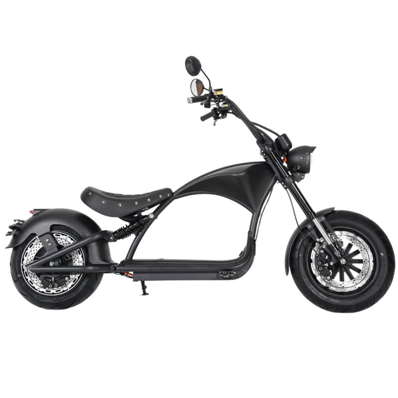 Mangosteen M1P 60V2000W30A