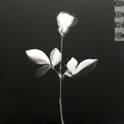 Виниловая пластинка DEPECHE MODE Violator (Винил)