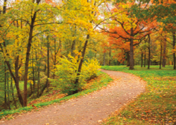 Коллекция Пейзаж