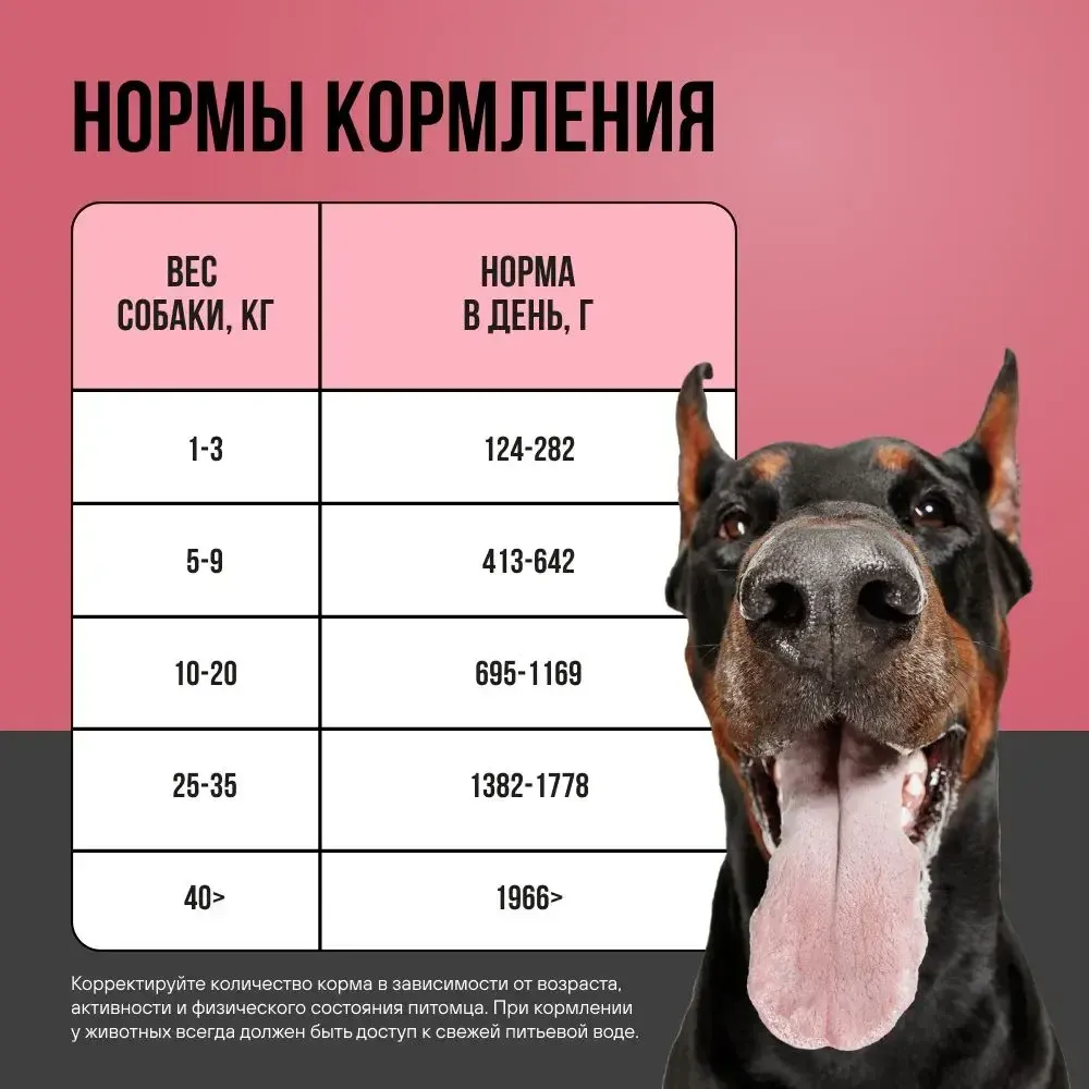 Консервы BOWL WOW для взрослых собак всех пород с говядиной и овощами Консервы BOWL WOW для взрослых собак всех пород с говядиной и овощами