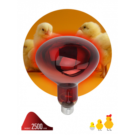 Инфракрасная лампа ЭРА ИКЗК 220-250 R127 для обогрева животных 250 Вт Е27