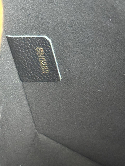 Сумка Louis Vuitton