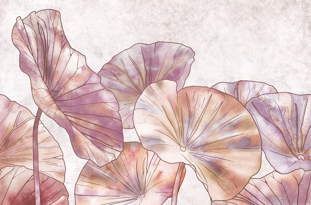 Коллекция Grafika Natura