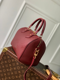 Louis Vuitton Speedy 25