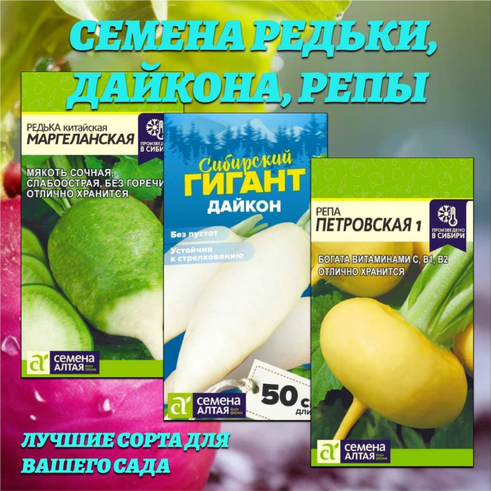 Набор семян корнеплодов: редька, дайкон, репа. Семена Алтая