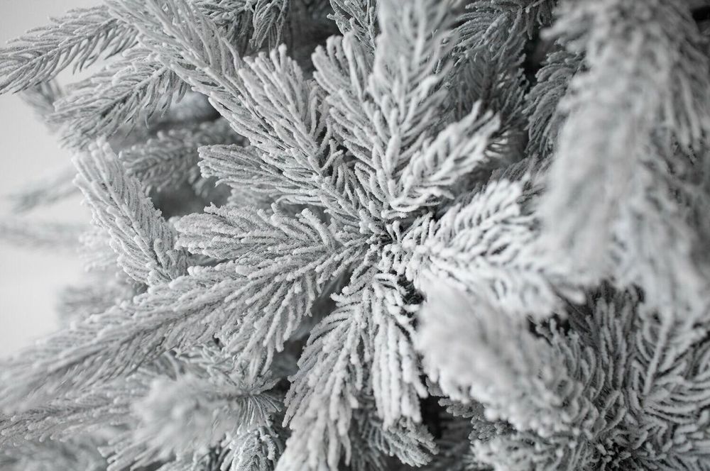 Заснеженная елка «Арктико» (Литая хвоя) от 1.5 до 2.1 м