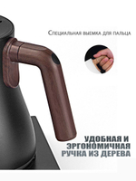 Чайник с регулировкой температуры нагрева (черный)