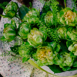 21. Оригинальный букет из розы сорта Вегги