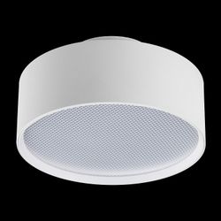 Накладной светильник Lightstar Acuto 215936