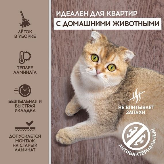 SPC ламинат I-Floors Basic - Дуб Осама (4.2 мм 2.06)