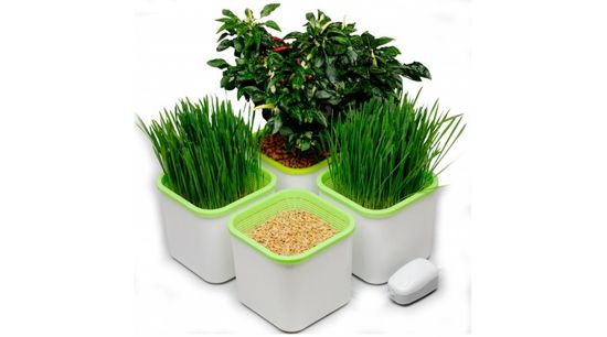 Гидропонная мини-система Здоровья Клад АэроСад (4-х модульная)