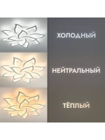 Люстра потолочная светодиодная DF8032/12