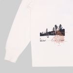  Лонгслив мужской Dickies Kenbridge Tee артикул:DK0A4YVRC581 - купить в магазине Дайс