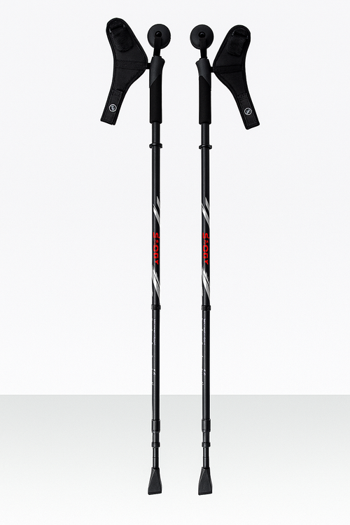 Трости для скандинавской ходьбы E 0674