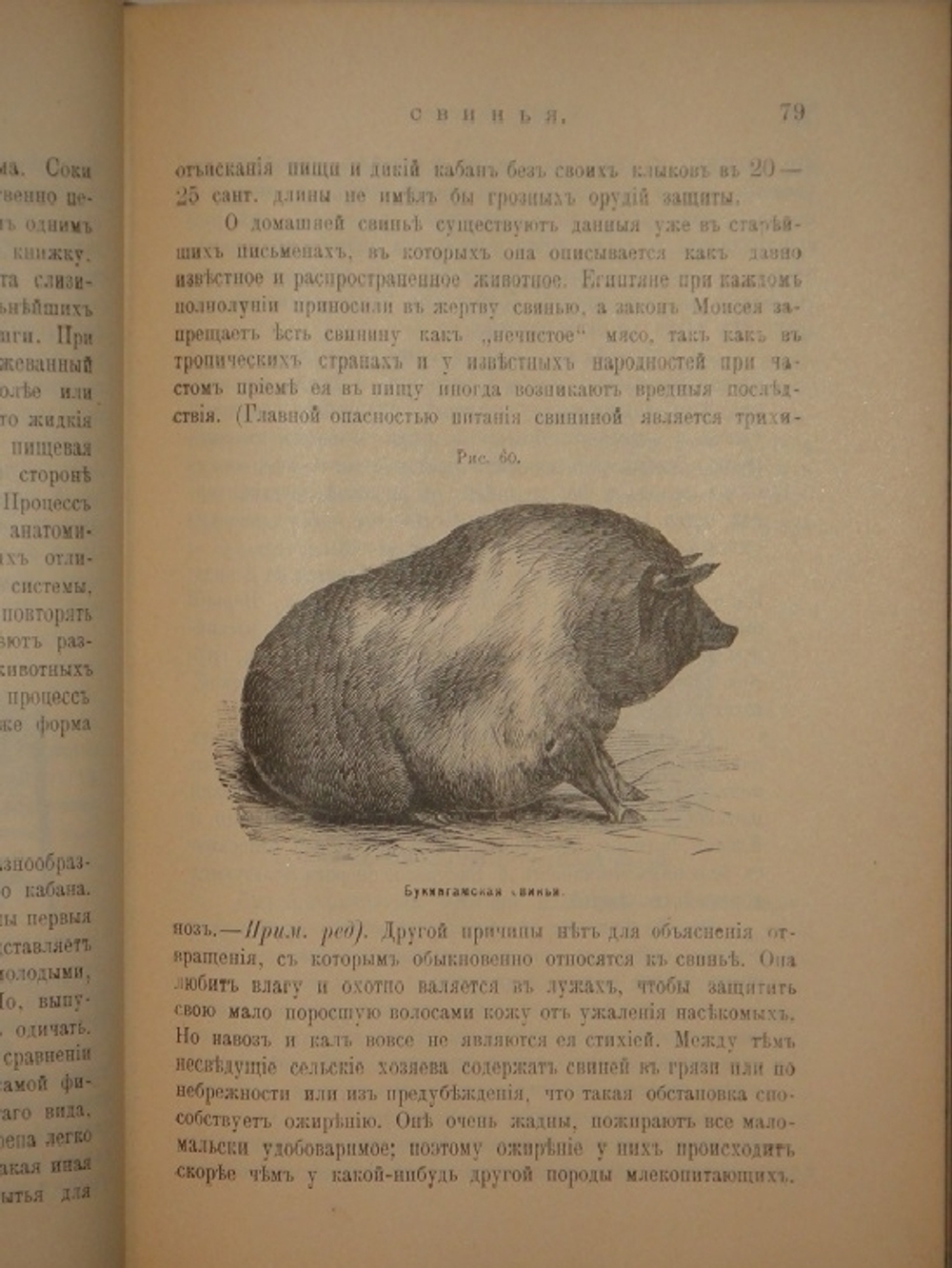 "Иллюстрированный гомеопатический лечебник для домашних животных. Руководство к предупреждению и гомеопатическому лечению болезней лошадей, рогатого скота, овец, свиней, собак и домашней птицы". Вильмар Швабе. 1880г.