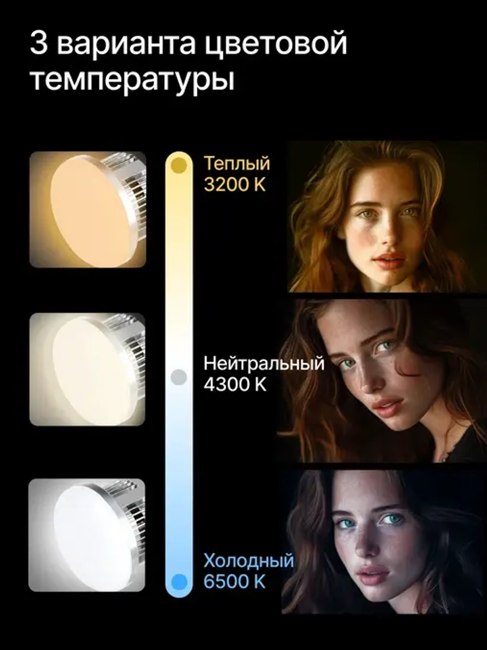 Осветитель Raylab D-Light светодиодный с софтбоксом 50*70см