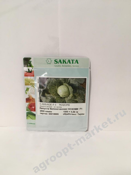 НОЗОМИ F1 семена капусты белокочанной (Sakata | Alexagro) – фото 2