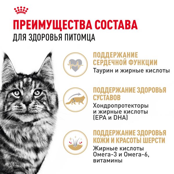 Пауч Royal Canin Maine Coon Adult для взрослых кошек породы Мэйн Кун, мелкие кусочки в соусе