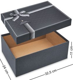 WF-168/3-B Коробка бол., темно-серый