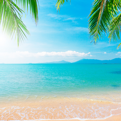 Жизнь в Единстве 1 месяц