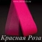 Регилин мягкий, Красная Роза