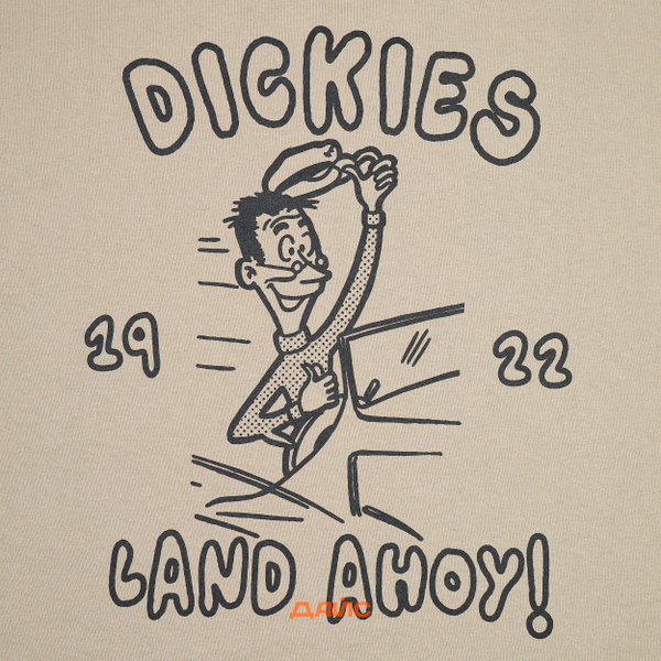 Футболка Dickies Decartuville артикул:DK0A87QT0DS1 - купить в магазине Дайс