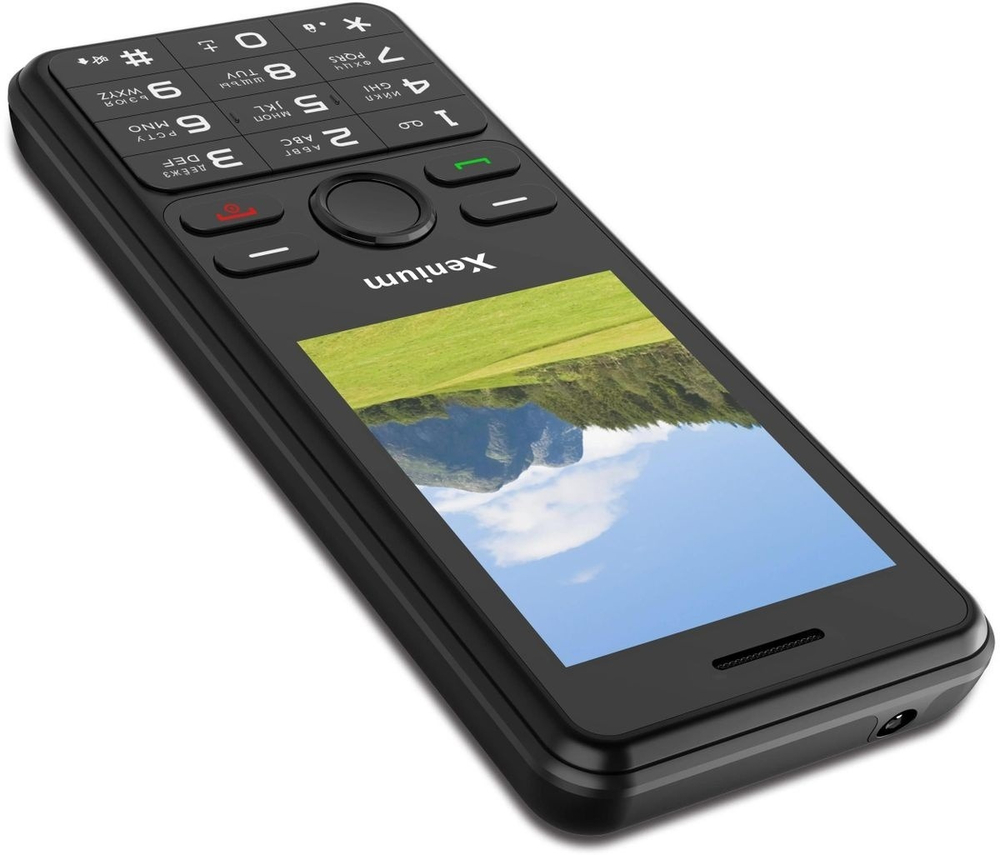 Сотовый телефон Xenium X280 black