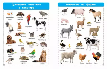 Все-все животные