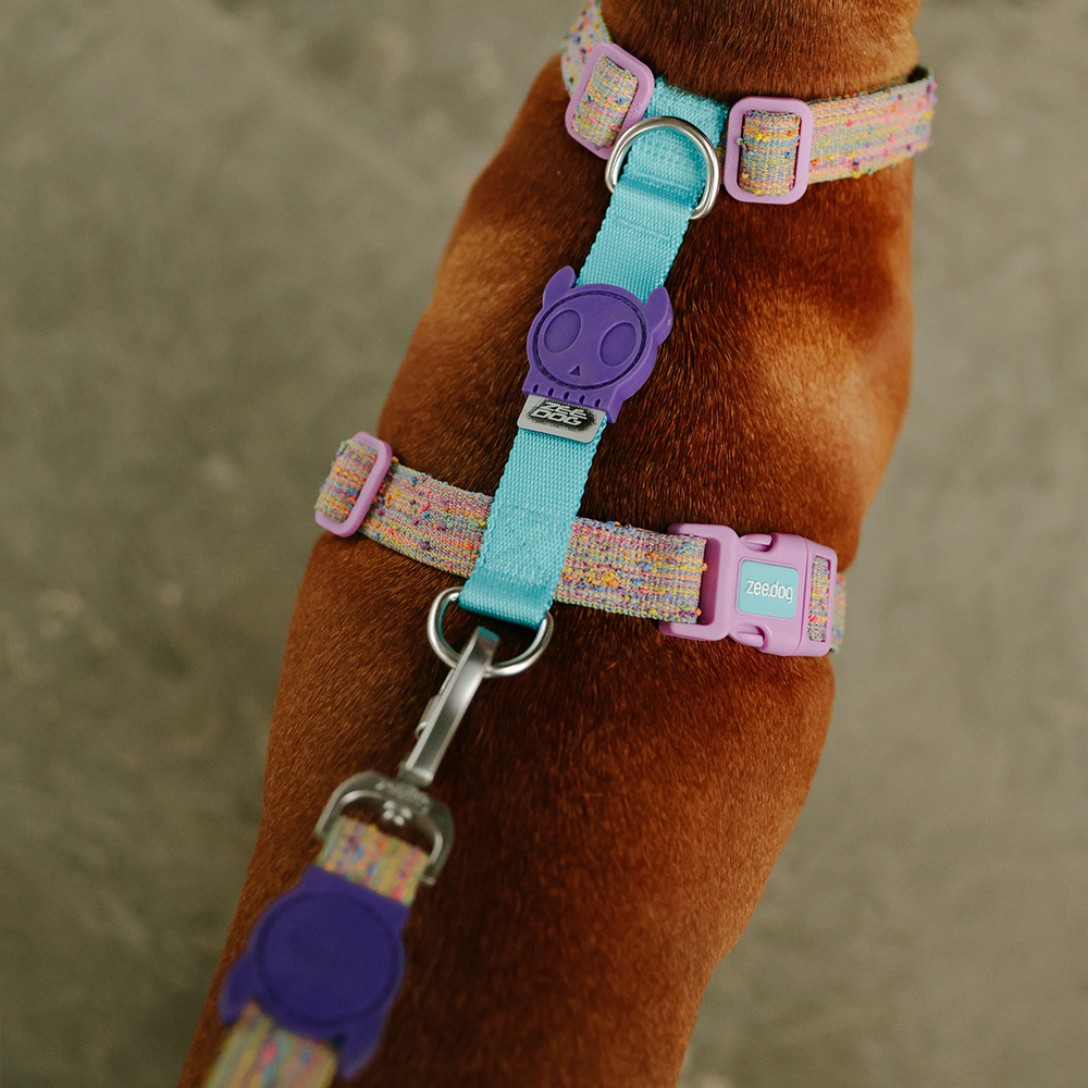 Шлейка UFO Zee.Dog