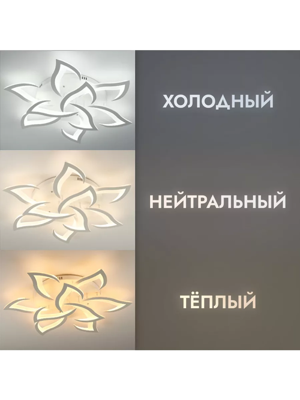 Люстра потолочная светодиодная DF8032/9