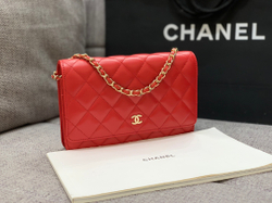 Chane1 WOC 19 cm