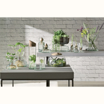 Ваза canopy, 9,5 см