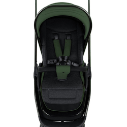 Детская коляска Pituso Mayla Lux 2 в 1 Forest Green