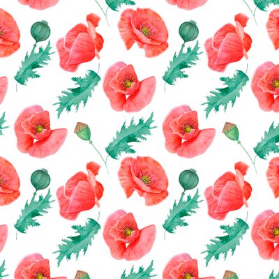 Seamless texture of red poppies on a white background.