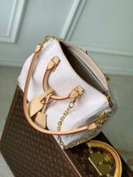 Louis Vuitton Speedy Soft 30