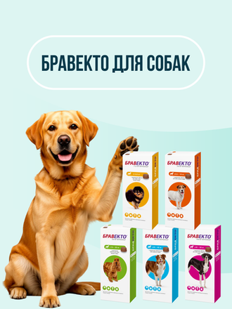 Бравекто для собак