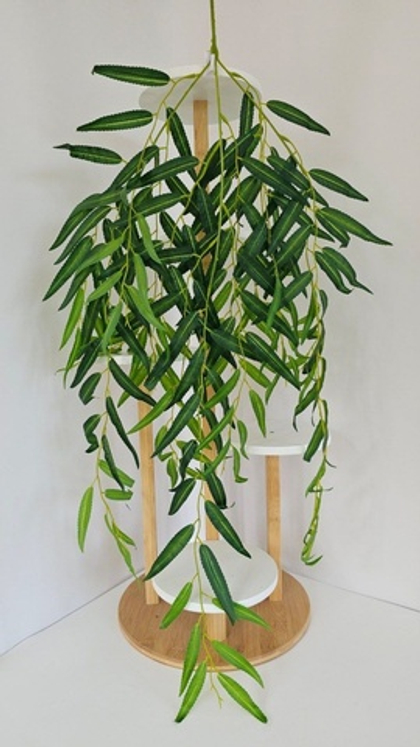 Ива пышная / Арт 1201