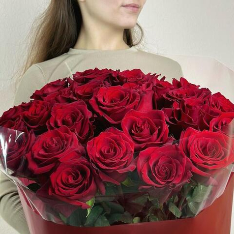 Розы эксплорер