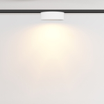 Трековые светильники магнитные Zon Levity 2700К 12Вт 100°