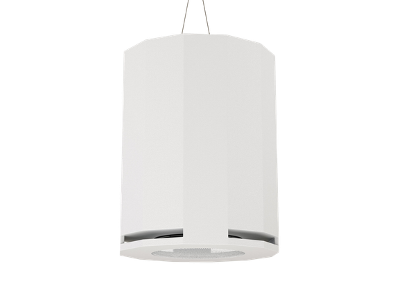 CVGAUDIO SUBone model DH-8W/CR подвесной сабвуфер, мощность 150W/300W